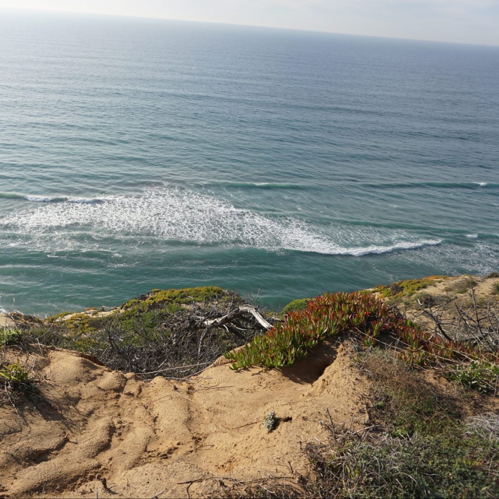 torrey pines state natural reserve trail in la jolla, california